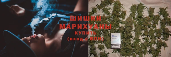 прущие грибы Ладушкин
