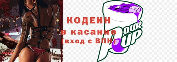 прущие грибы Ладушкин