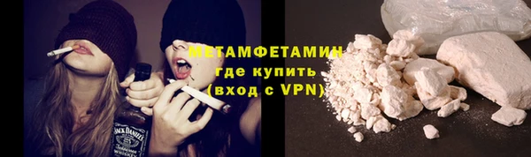 прущие грибы Ладушкин