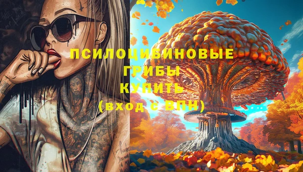 прущие грибы Ладушкин