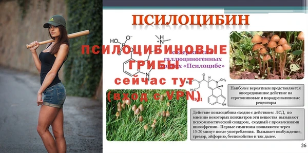ПСИЛОЦИБИНОВЫЕ ГРИБЫ Березники