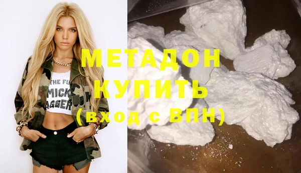 прущие грибы Ладушкин