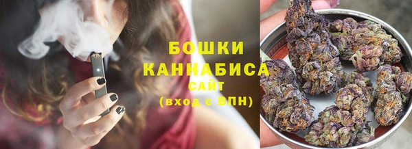 прущие грибы Ладушкин