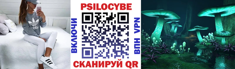 Псилоцибиновые грибы Cubensis  Горбатов 