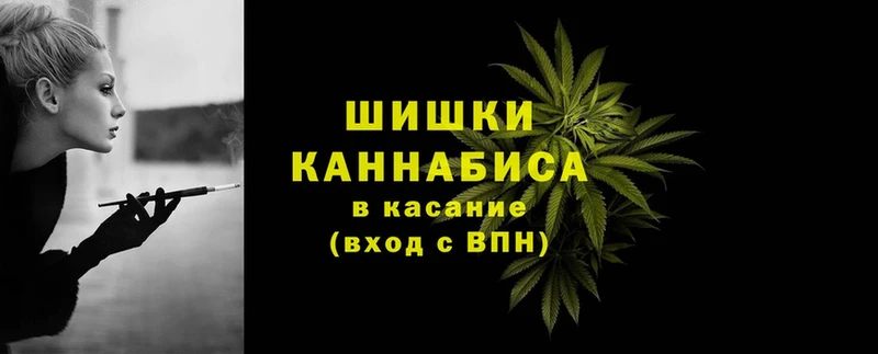 Конопля SATIVA & INDICA  цены наркотик  Горбатов 